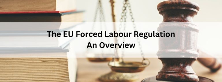 The EU Forced Labour Regulation An Overview